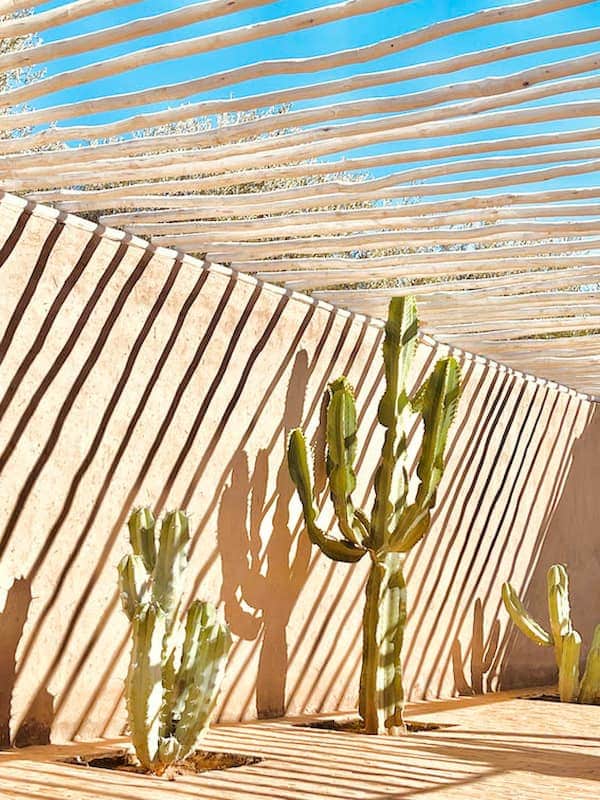 Cactus d'une villa de location à Marrakech