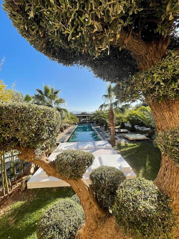 Jardin avec piscine villa Marrakech