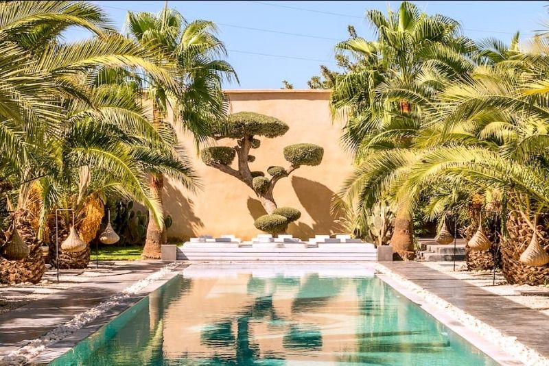 Vue la piscine entourée de palmiers chez Villa Taj