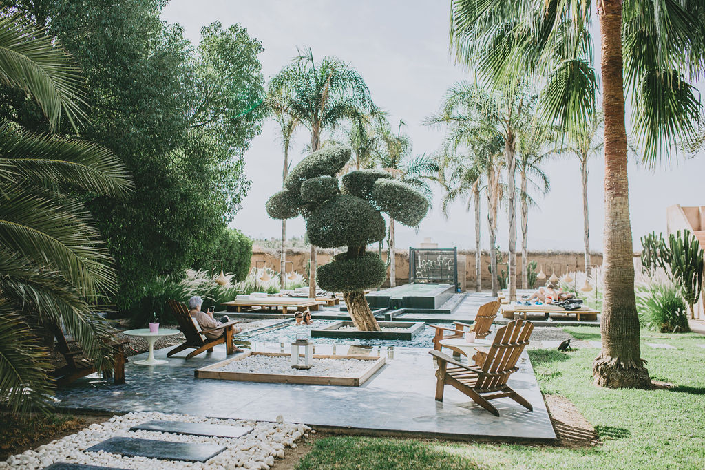 Jardins de palmiers et bonzai central de Villa Taj Marrakech