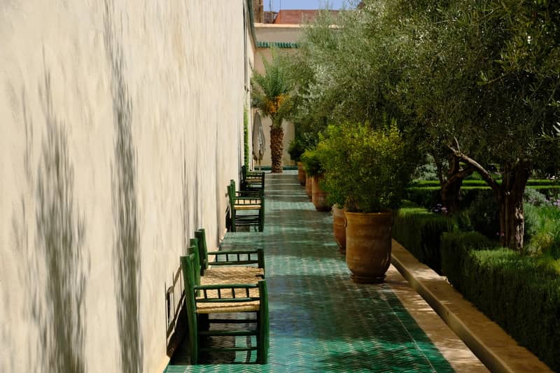 les bancs du jardin secret a marrakech dans une allee de plantes