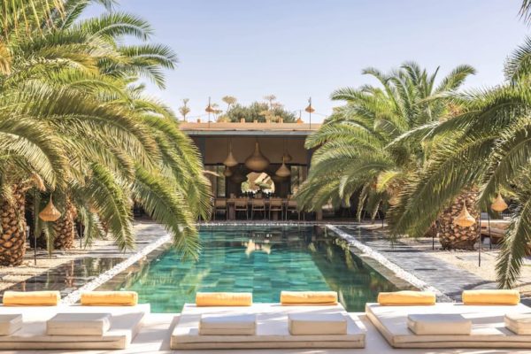 Vue sur la piscine et les palmiers à la Villa Taj