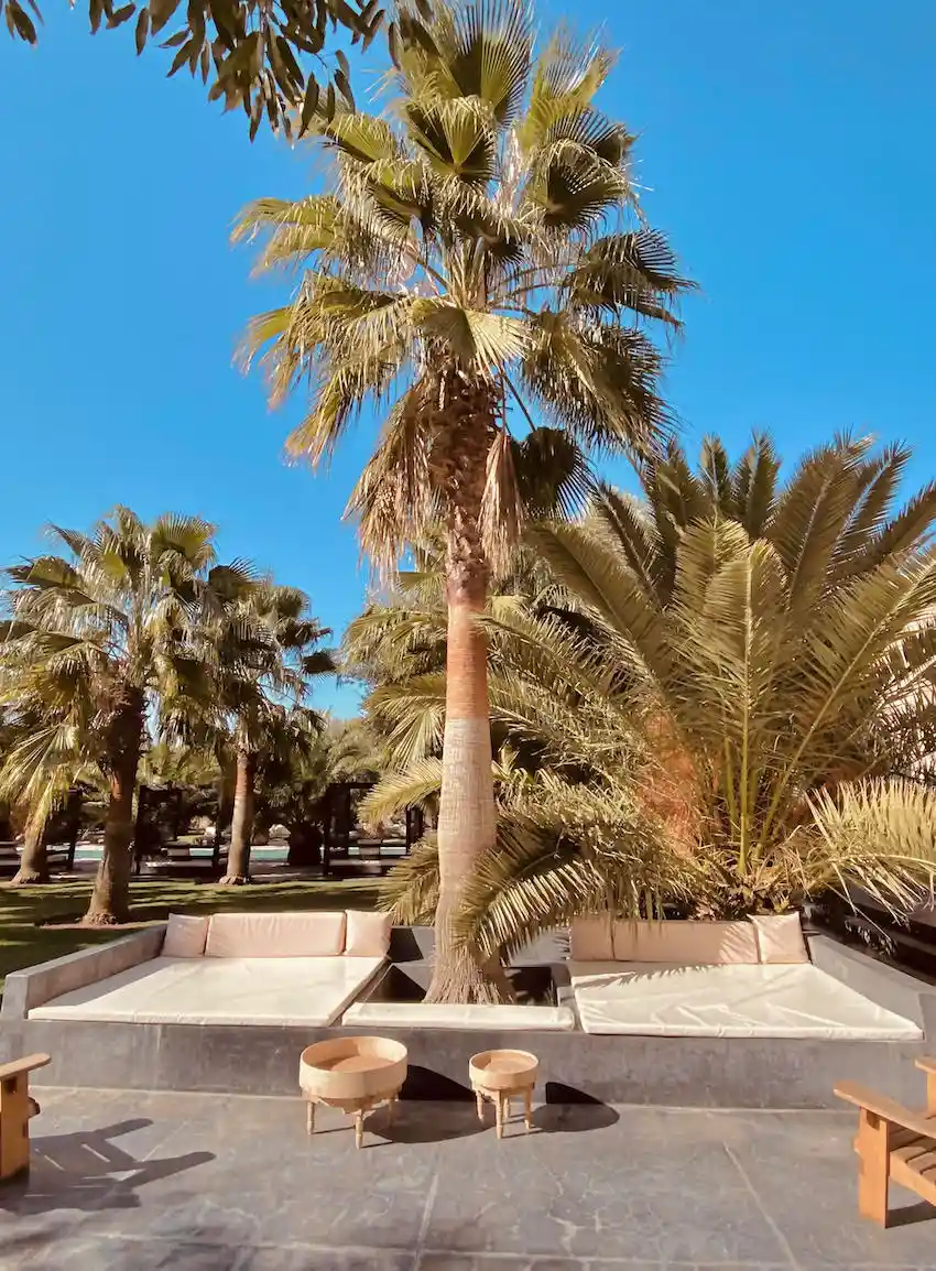 anniversaire à marrakech